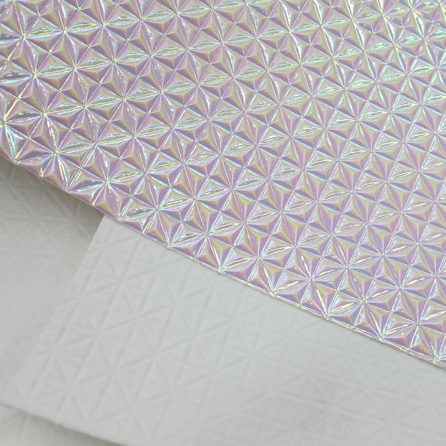 epcot-irisado-AF342-EPCOT-20 epcot-irisado-AF342-EPCOT-20