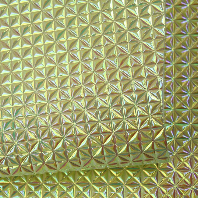 epcot-irisado-AF356-EPCOT-06 epcot-irisado-AF356-EPCOT-06