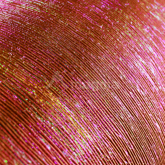 louis-irisado-CP067 louis-irisado-CP067