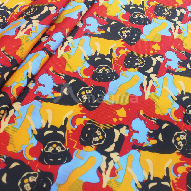 rottweiler-67-AF895 rottweiler-67-AF895