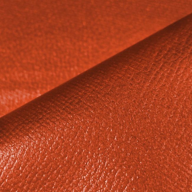 CS039-Laranja_1 CS039-Laranja_1