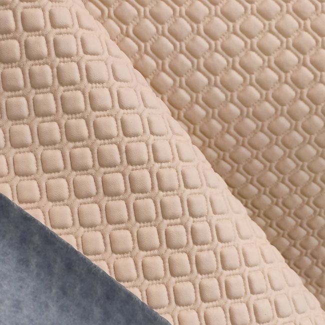 CS100-Nude CS100-Nude