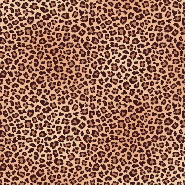 AF912_Leopard AF912_Leopard