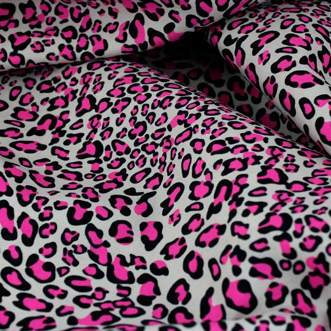 AD401_Oncinha_49 AD401_Oncinha_49