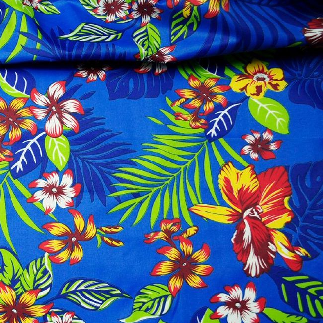 AG441_COLEUS-13 AG441_COLEUS-13