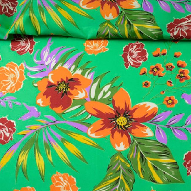 AG446_MANOA-67 AG446_MANOA-67