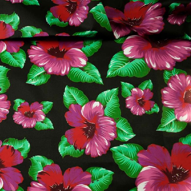 AG448_HANALEI-52 AG448_HANALEI-52