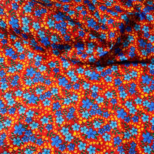 AG472_VERBENA_67_1 AG472_VERBENA_67_1