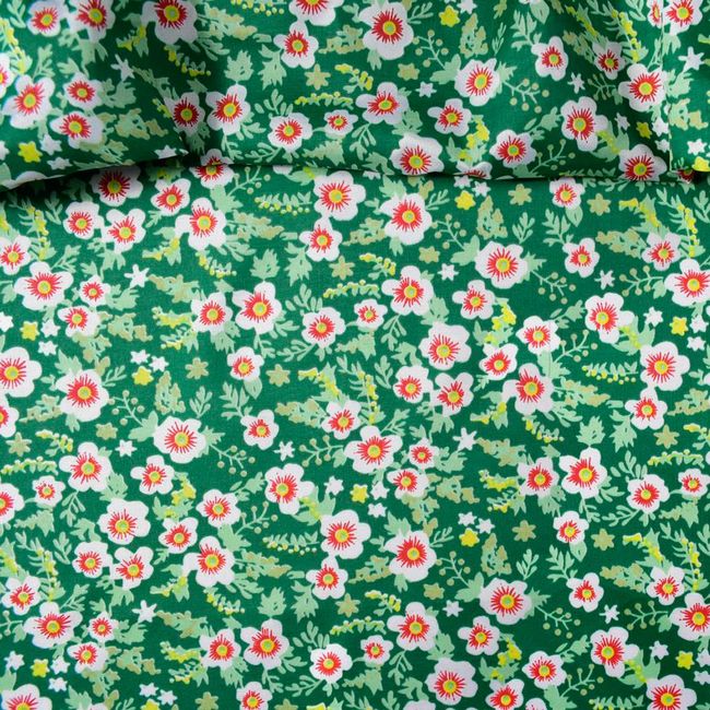 AG475_CRAVINA_62_1 AG475_CRAVINA_62_1