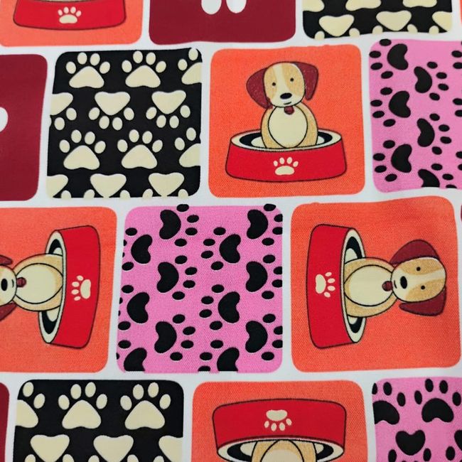 AG554---Zuma-49_1 AG554---Zuma-49_1