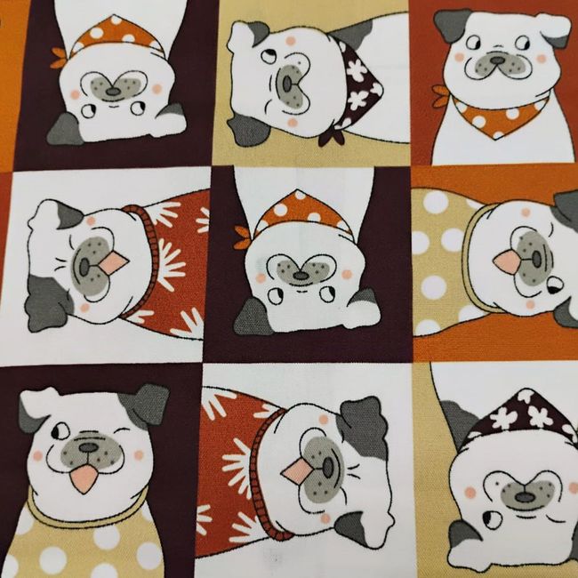 AG609-Baco-42 AG609-Baco-42