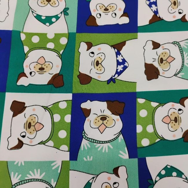 AG610-Baco-13 AG610-Baco-13