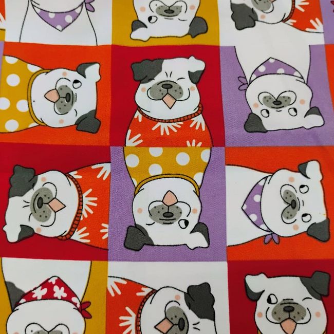 AG611-Baco-67 AG611-Baco-67