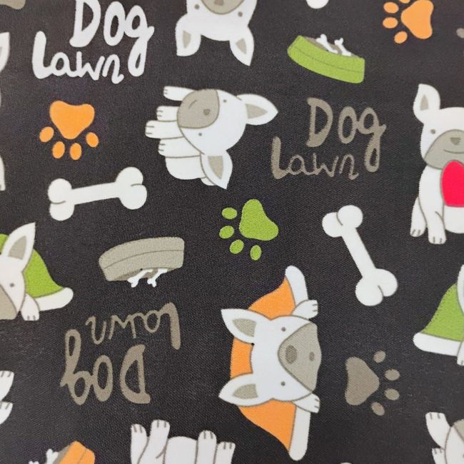 AG615-Dog-Lawn-52 AG615-Dog-Lawn-52