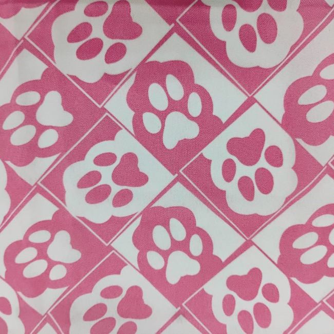 AG631-Pegadas-82 AG631-Pegadas-82