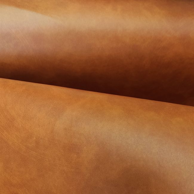 CS142-Havana_1 CS142-Havana_1