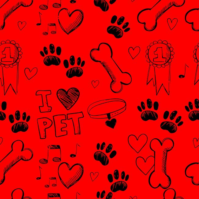 Campeao_Dog_67-52 Campeao_Dog_67-52