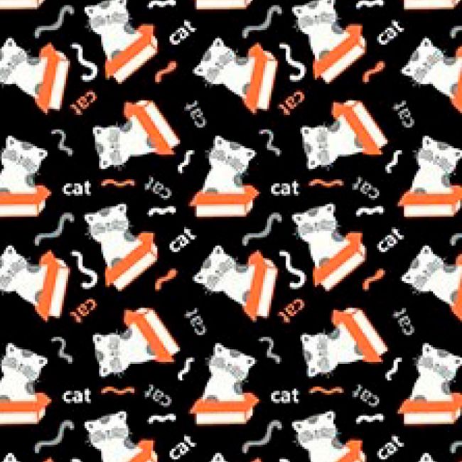 Cat_Box_52 Cat_Box_52