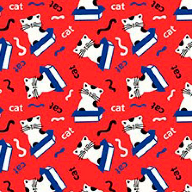 Cat_Box_67 Cat_Box_67