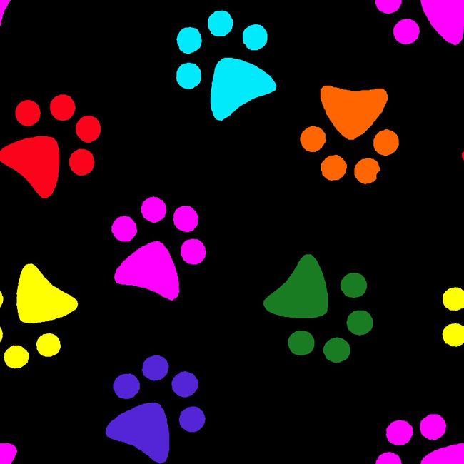 Color_Patas_52