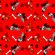 Crazy_Dog_67