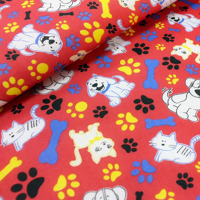 Dalmata_67 Dalmata_67