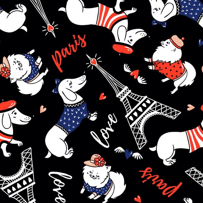 Dog_Frances_52 Dog_Frances_52